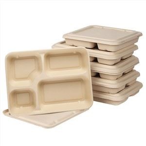 Bagasse Sugarcane Takeaway Kontejnery