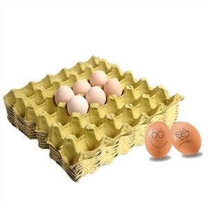Výrobci zásobníků na vejce z papírové buničiny