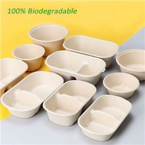 Biologicky rozložitelný jednorázový obědový box